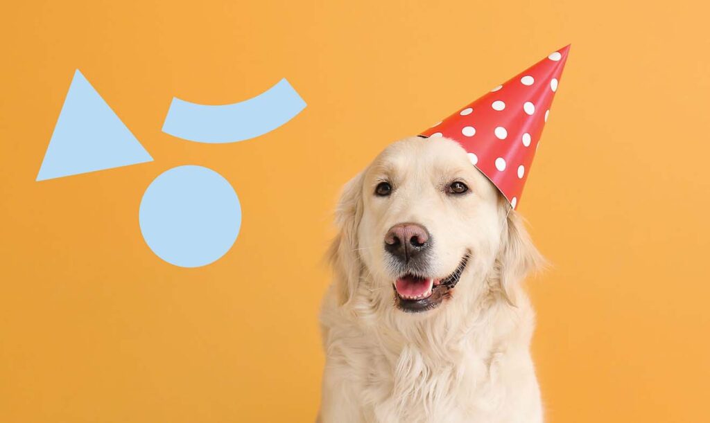 ALEGRO ALFRAGIDE celebra 5 anos de DOG FRIENDLY COM mercadinho animal e campanha de sensibilização à adopção