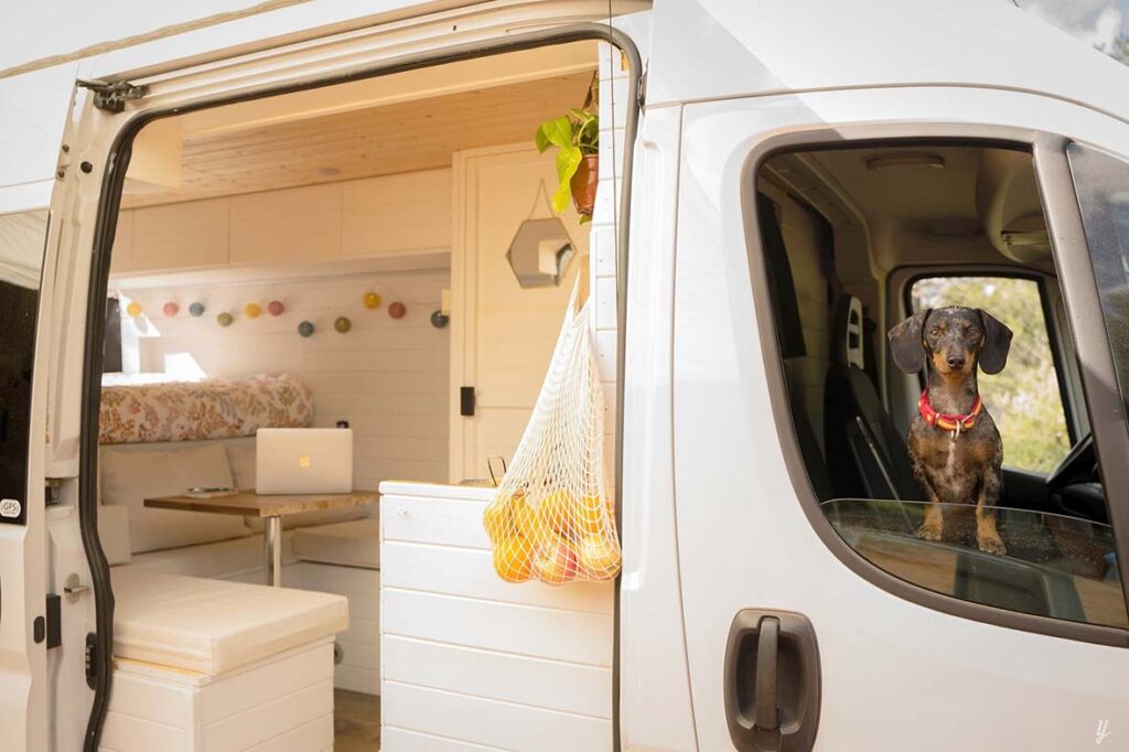 YESCAPA sugere viajar em autocaravana com o seu animal de estimação