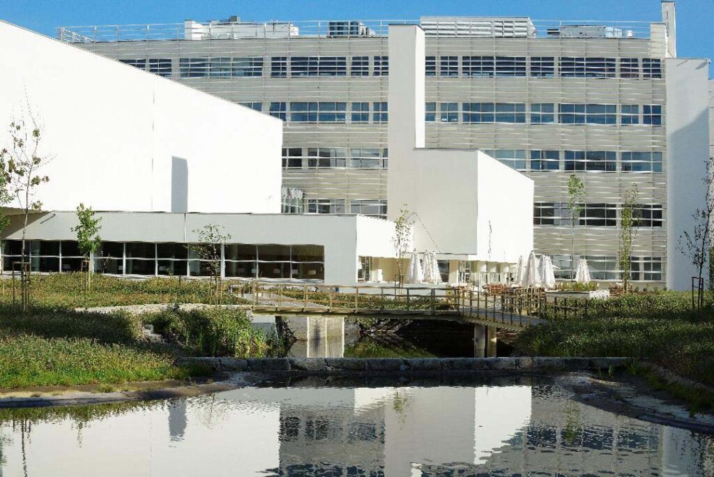 Porto Business School abre novo horizonte às organizações no digital