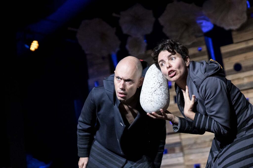 Abutres tornam-se protagonistas das noites de “Lua Cheia”