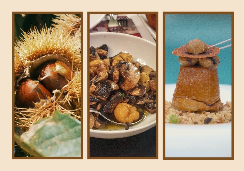Bragança promove Semana Gastronómica da Castanha