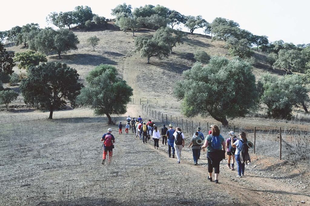 2.ª edição do Alentejo Walking Festival 2025 contou com mais de 1250 participantes